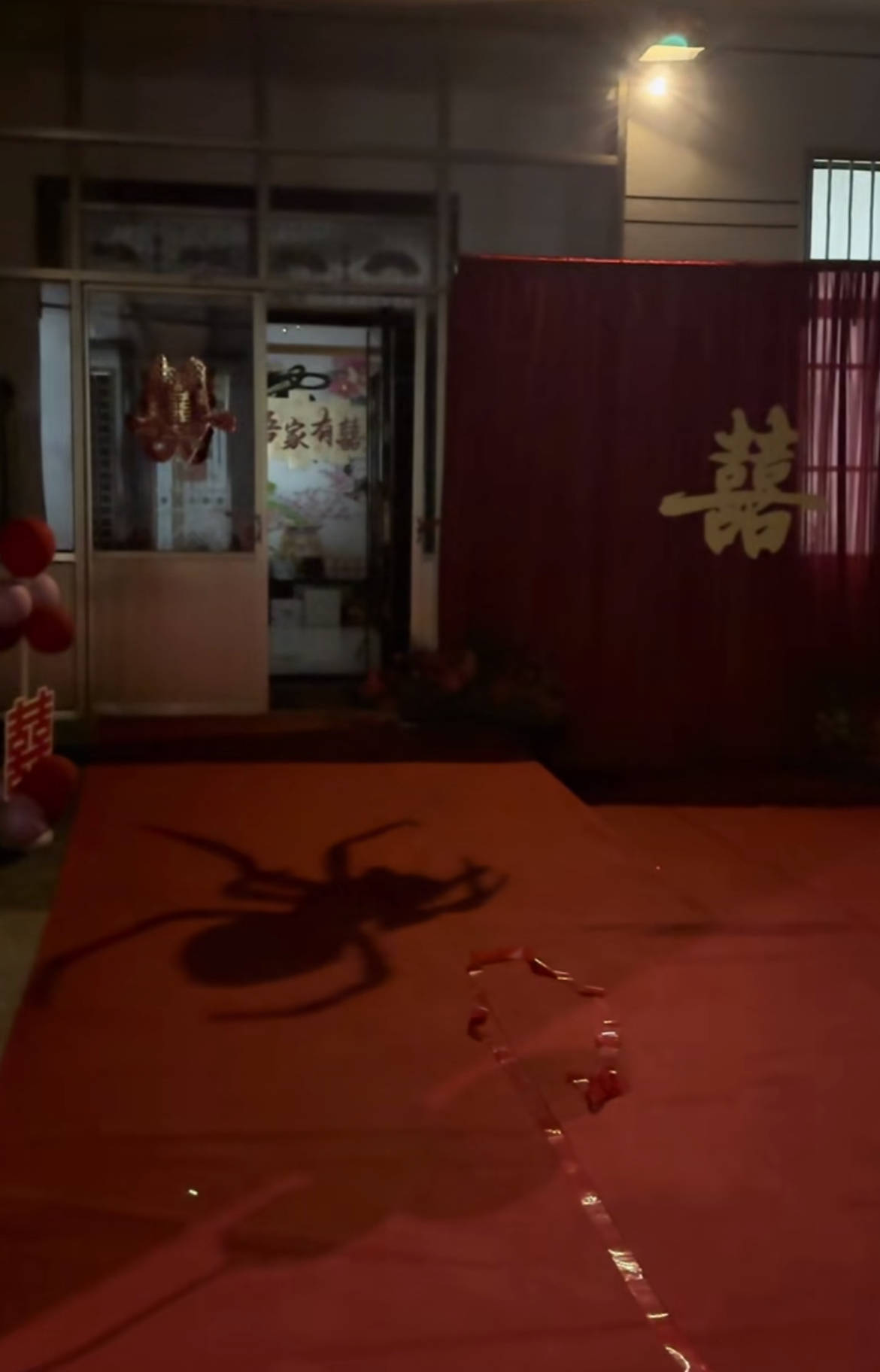 皇冠信用盘怎么申请_山东一新娘家凌晨出现巨大蜘蛛的倒影皇冠信用盘怎么申请,拍摄者:蜘蛛爬在灯泡上,网友:这才是喜结连理